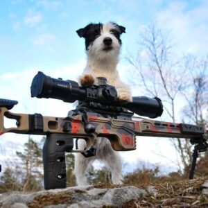 Small black and white dog standing behind a custom barreled rifle featuring a Deadline 2.0 Action, set outdoors with trees and a blue sky in the background.