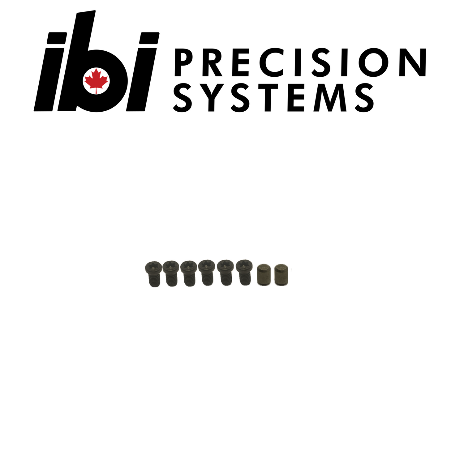 Set of small black metal screws and pins arranged in a row beneath the IBI Precision Systems logo, part of the Deadline/Deuce/HMB Screw And Pin Kit for custom barreled actions.