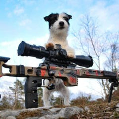 Small black and white dog standing behind a custom barreled rifle featuring a Deadline 2.0 Action, set outdoors with trees and a blue sky in the background.