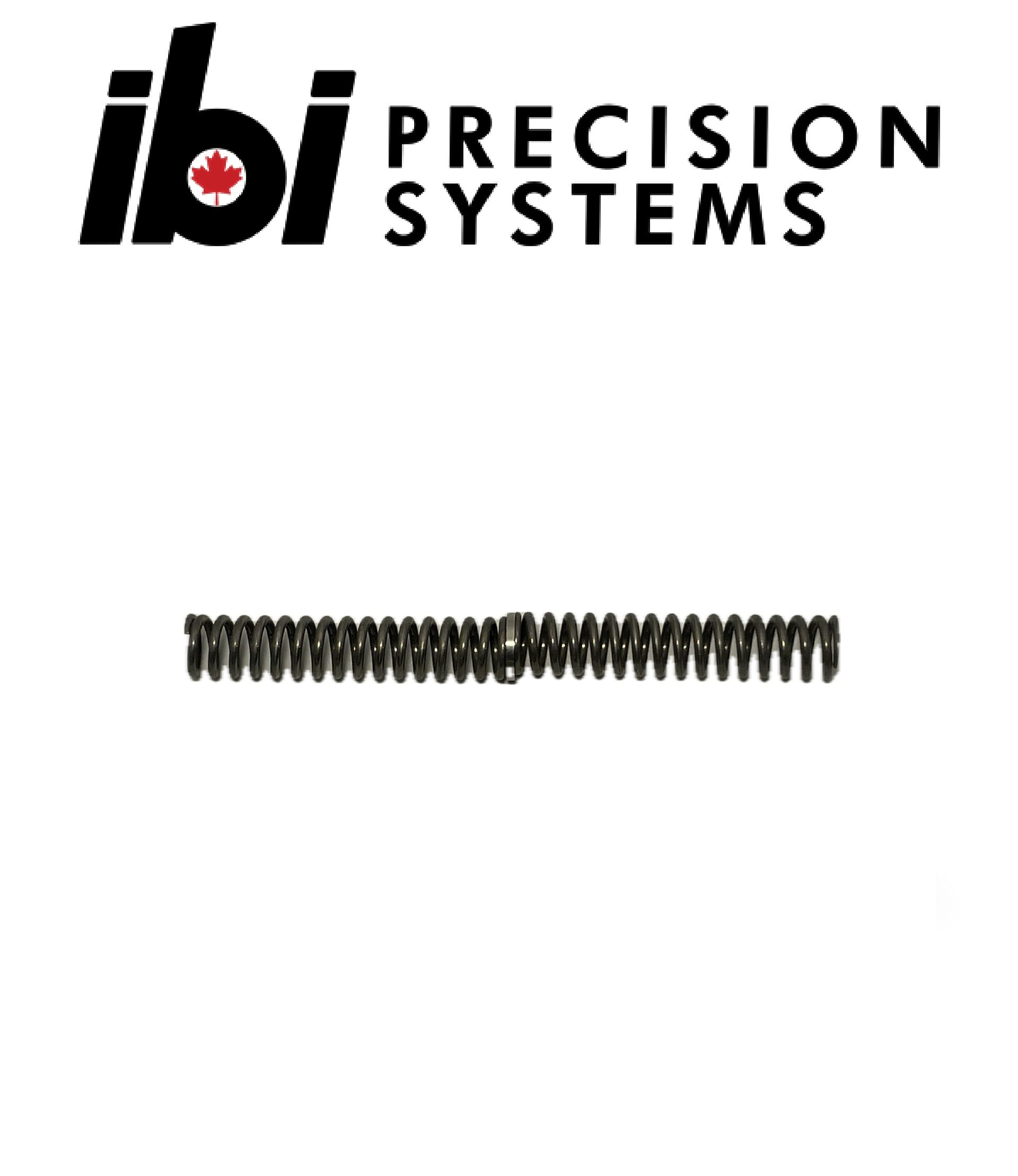 Deadline Firing Pin Spring Kit – IBI Precision Systems