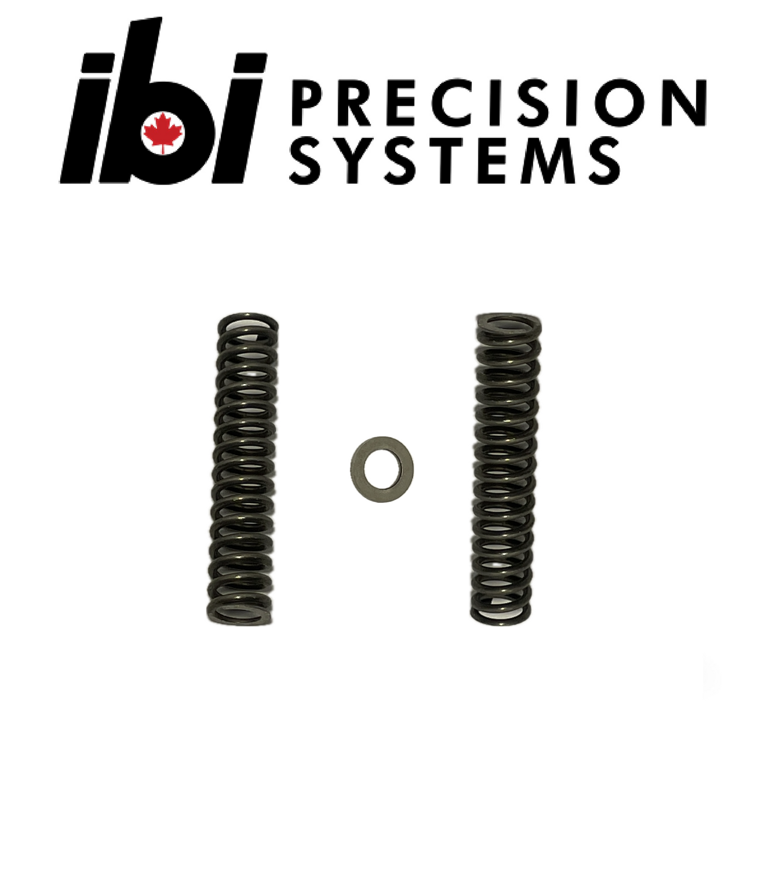 Deadline Firing Pin Spring Kit